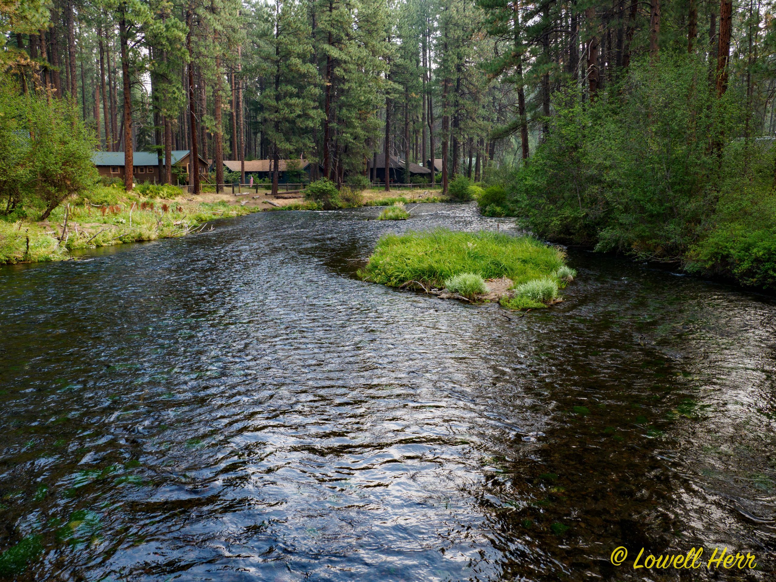 Metolius River and Several Music Recommendations 3