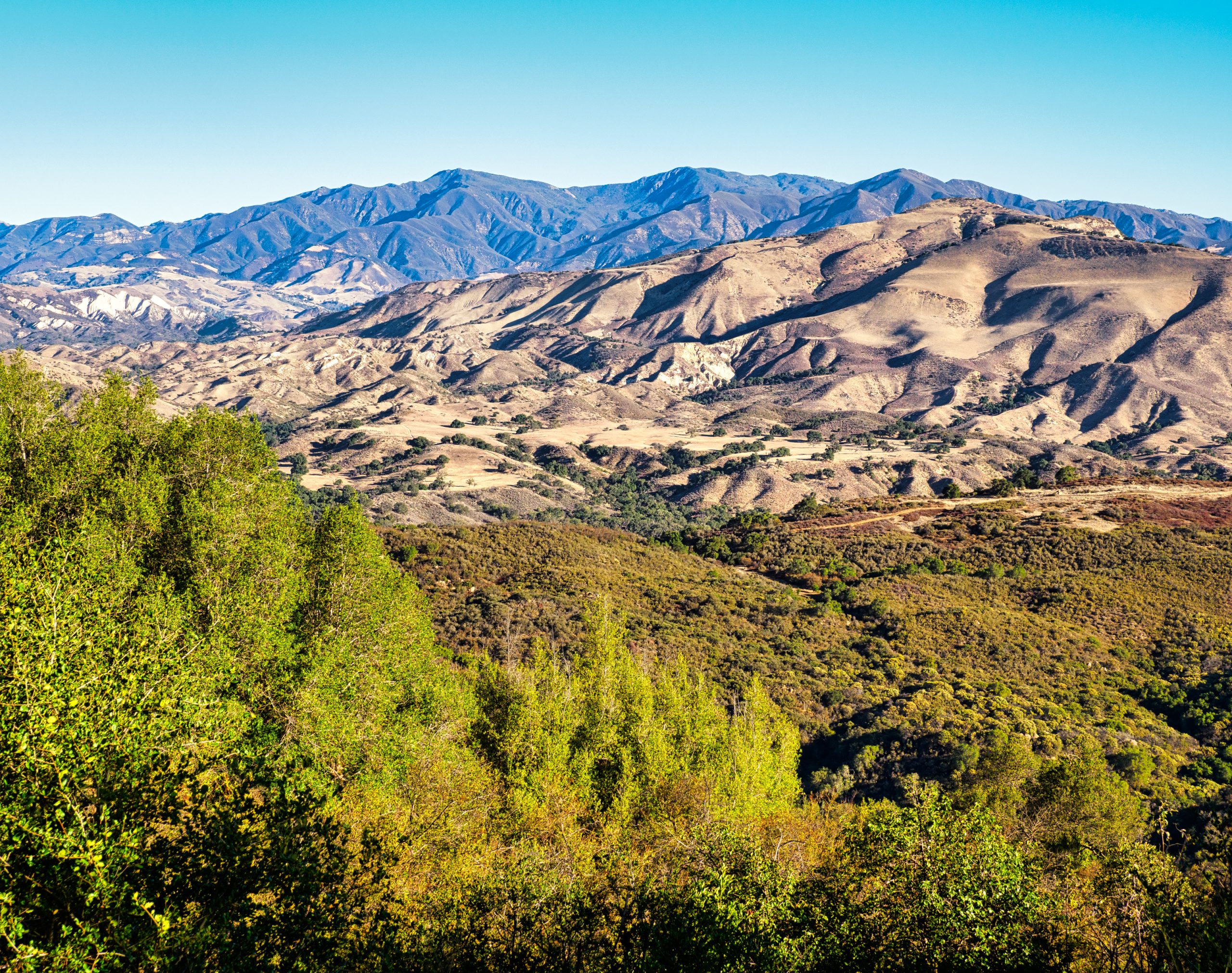 Photo Enhancement: Where Condors Soar 2