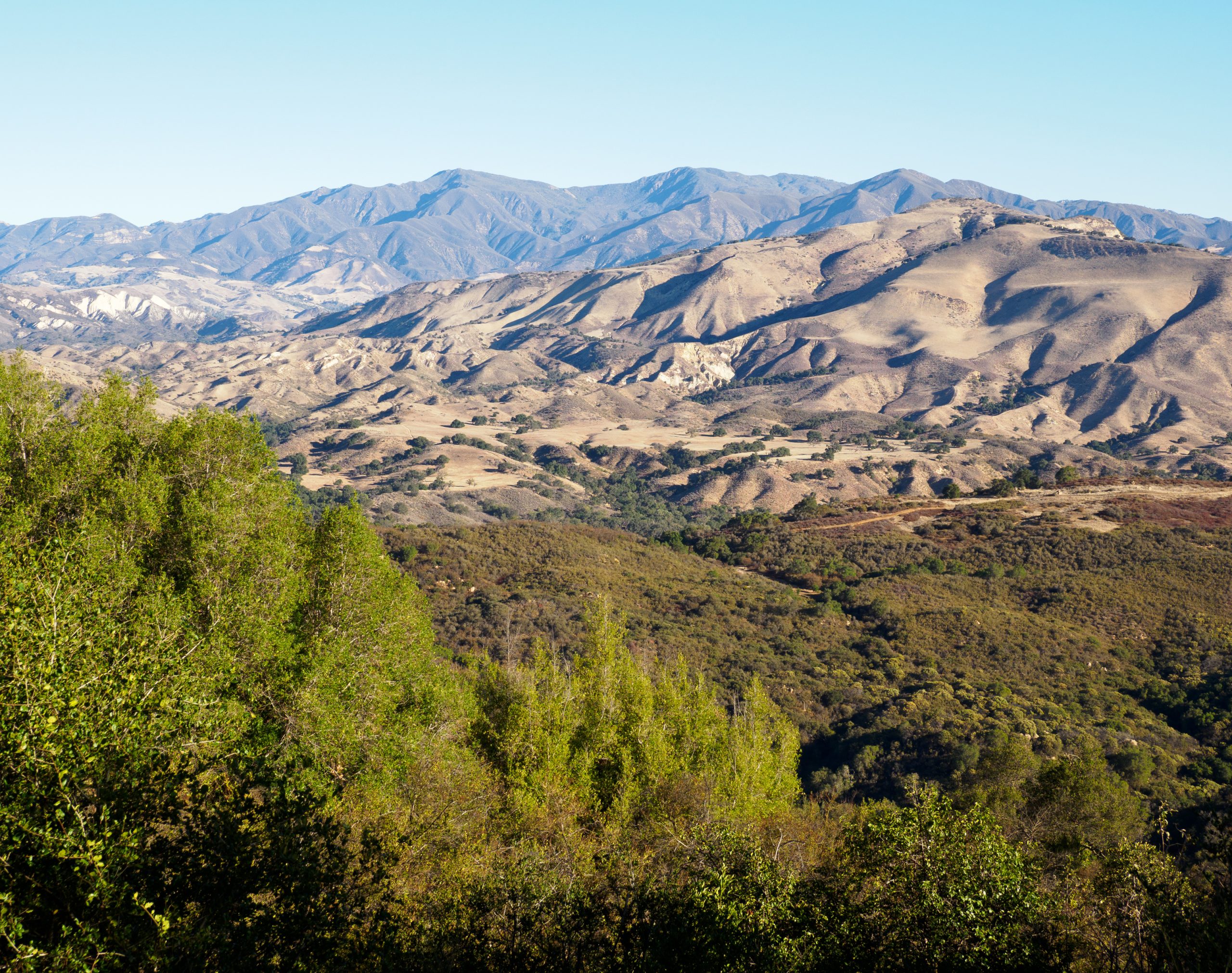 Photo Enhancement: Where Condors Soar 1