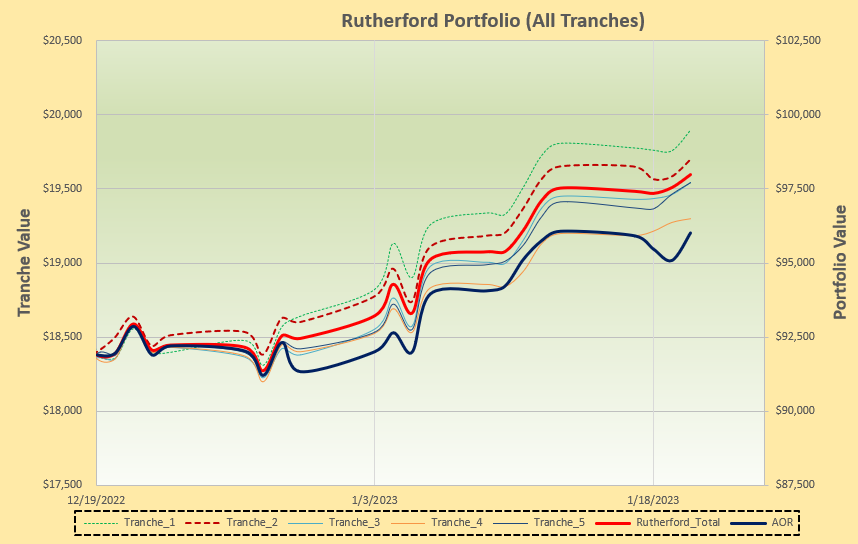 Rutherford Portfolio Review (Tranche 2): 20 January 2023 5