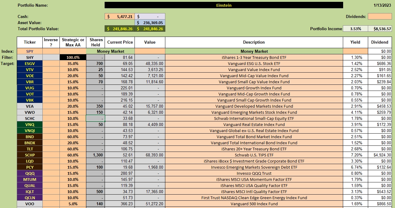 Einstein Portfolio Review: 17 January 2023 2