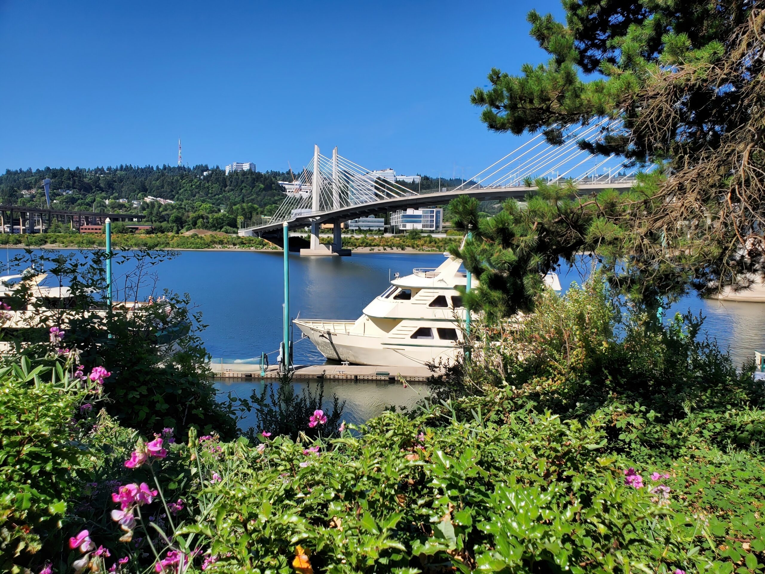 Bohr Portfolio Review: 21 July 2023 1