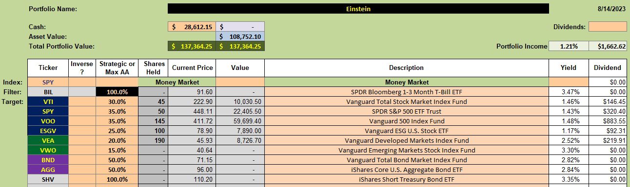 Einstein Portfolio Review: 15 August 2023 2