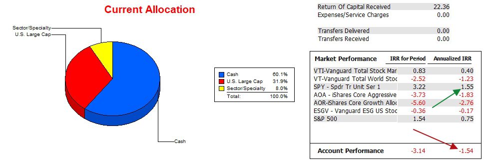 Huygens Sector BPI Portfolio Review: 22 January 2024 4