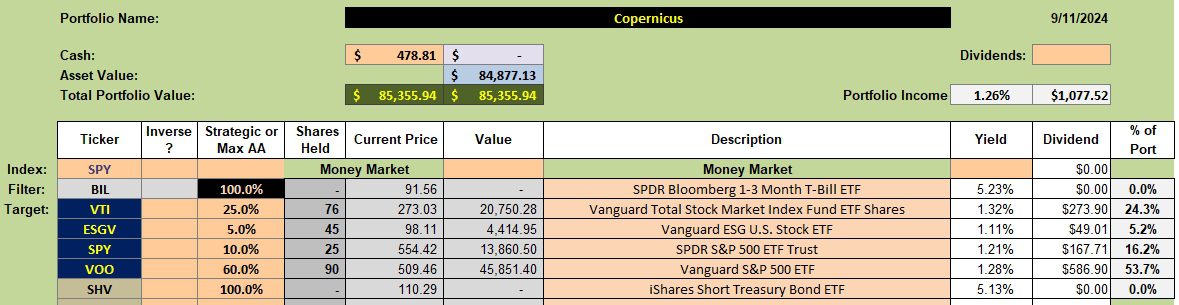 Copernicus Portfolio Review: 13 September 2024 2