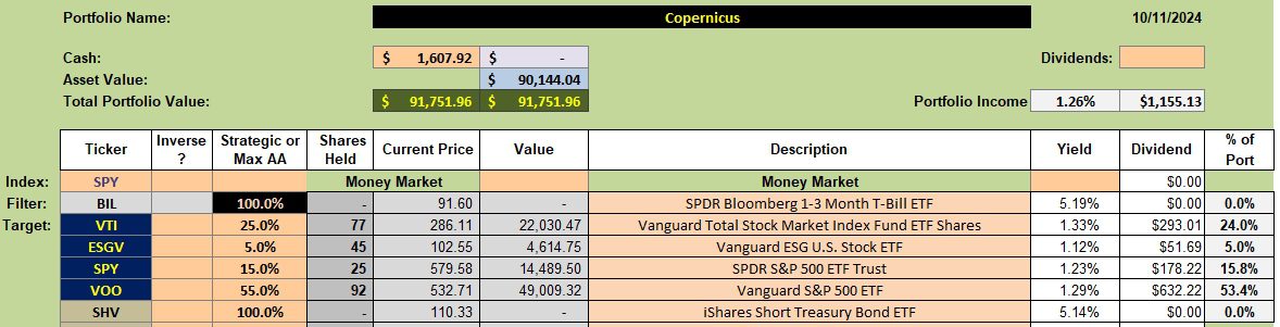 Copernicus Portfolio Review: 8 November 2024 2