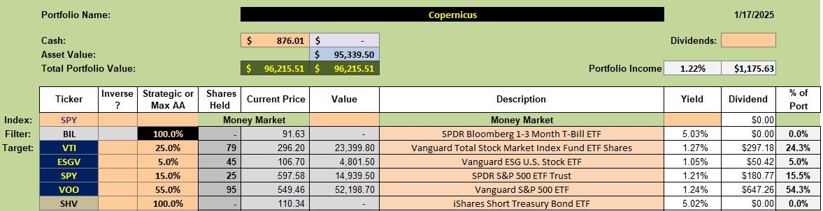 Copernicus Portfolio Review: 21 January 2025 2