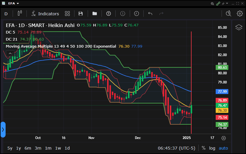 Rutherford Portfolio Review (Part 2 – Options): 6 January 2025 5