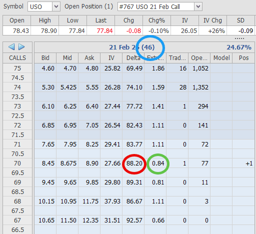 Rutherford Portfolio Review (Part 2 – Options): 6 January 2025 3