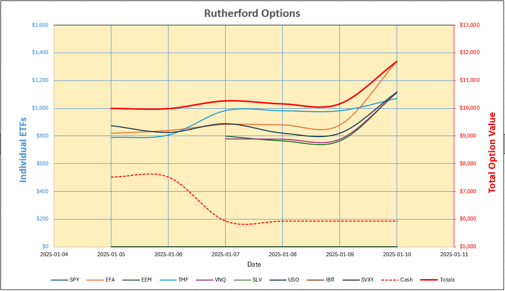 Rutherford-Darwin Portfolio Review – 10 January 2025 5