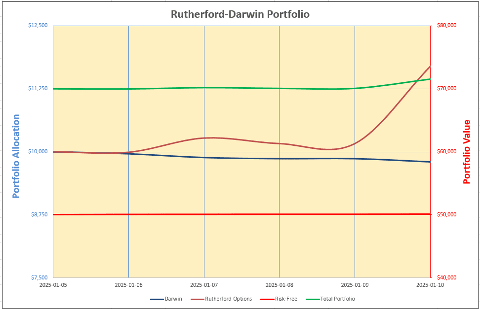 Rutherford-Darwin Portfolio Review – 10 January 2025 6