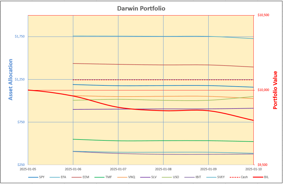 Rutherford-Darwin Portfolio Review – 10 January 2025 4