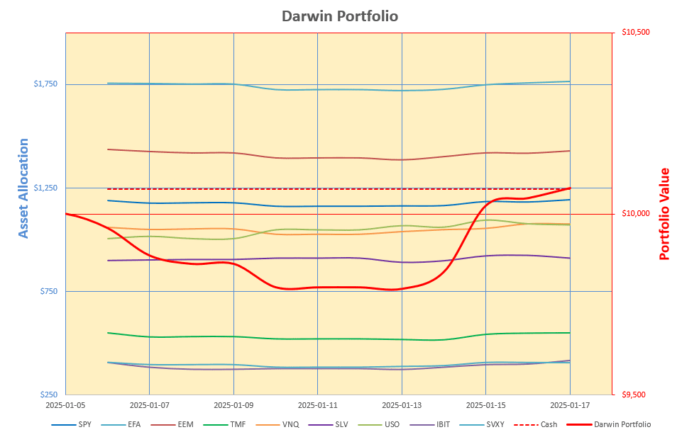 Rutherford-Darwin Portfolio Review: 17 January 2025 4