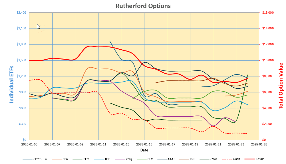 Rutherford-Darwin Portfolio Review: 24 January 2025 6