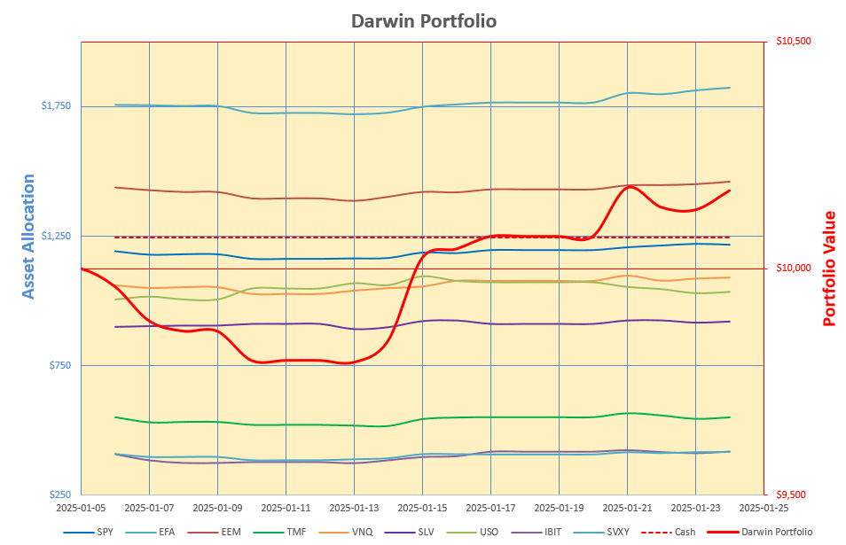 Rutherford-Darwin Portfolio Review: 24 January 2025 5