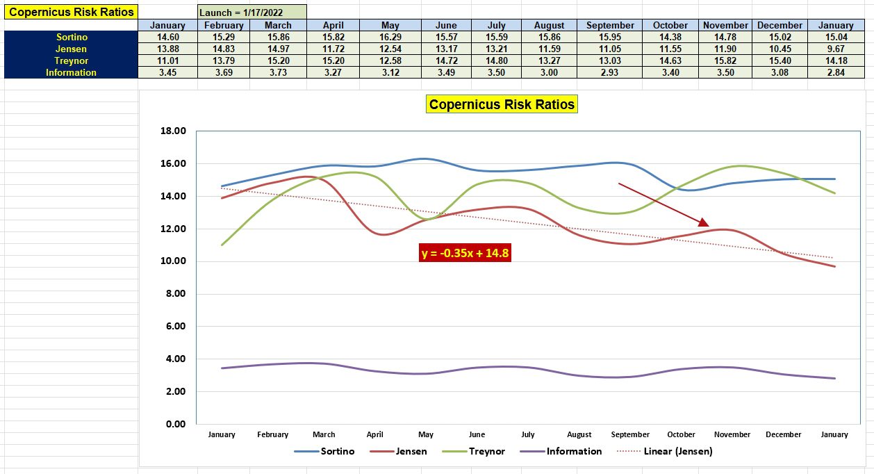 Copernicus Portfolio Review: 21 January 2025 4