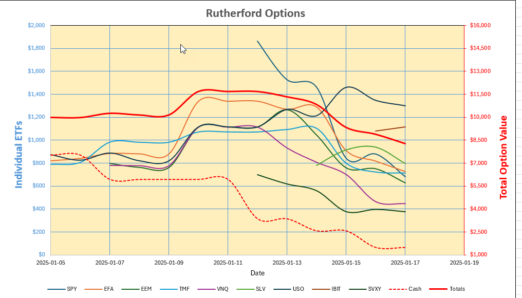 Rutherford-Darwin Portfolio Review: 17 January 2025 9