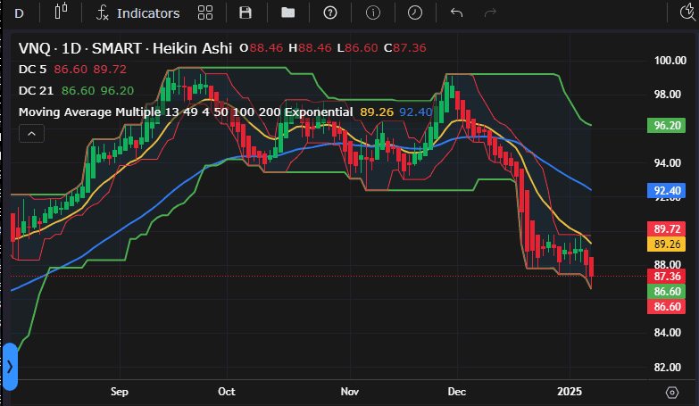 Rutherford Portfolio Review (Part 2 – Options): 6 January 2025 15