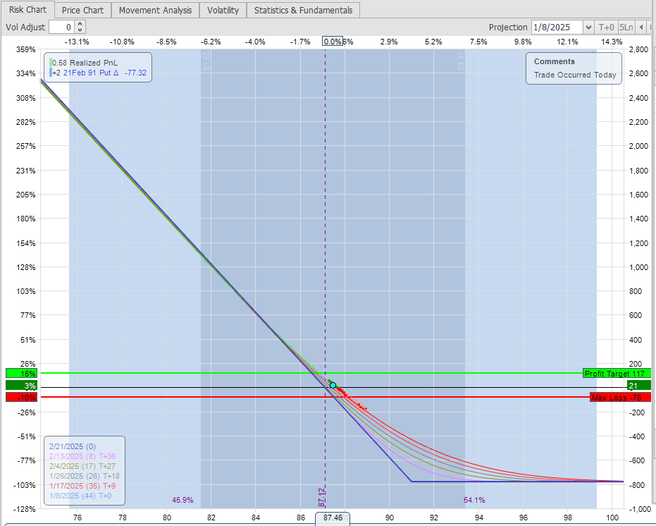 Rutherford Portfolio Review (Part 2 – Options): 6 January 2025 16