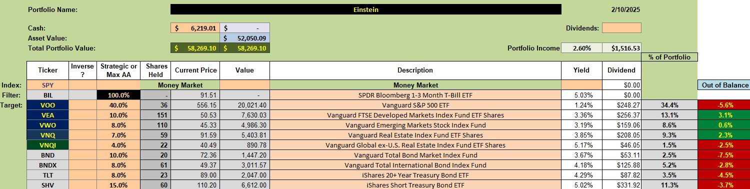 Einstein Portfolio Update: 11 February 2025 2