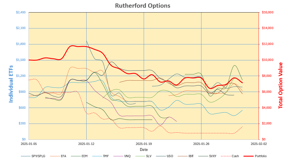 Rutherford-Darwin Portfolio Review: 31 January 2025 5