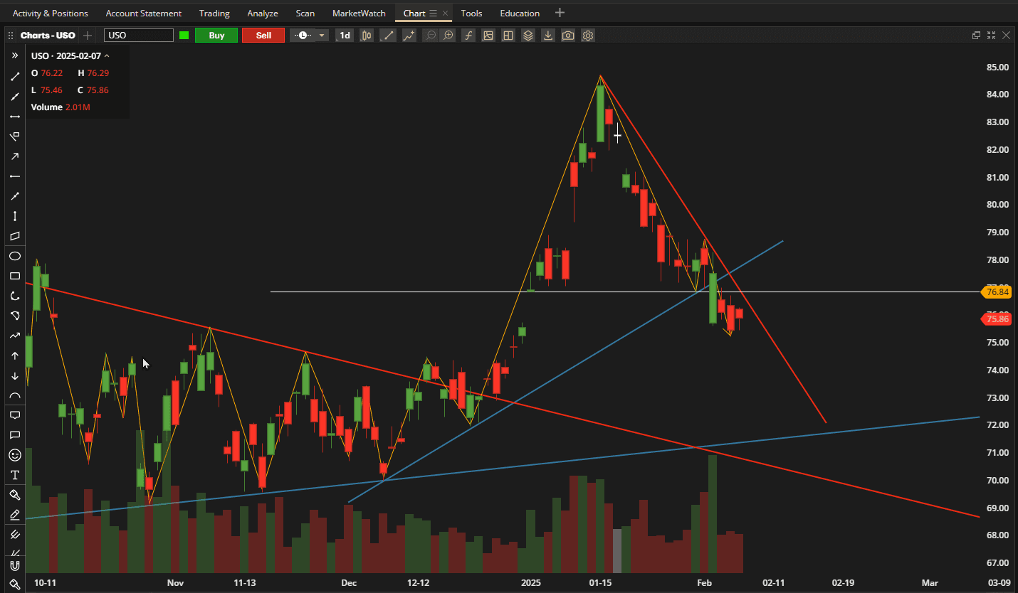 Rutherford-Darwin Portfolio Review: 7 February 2025 7