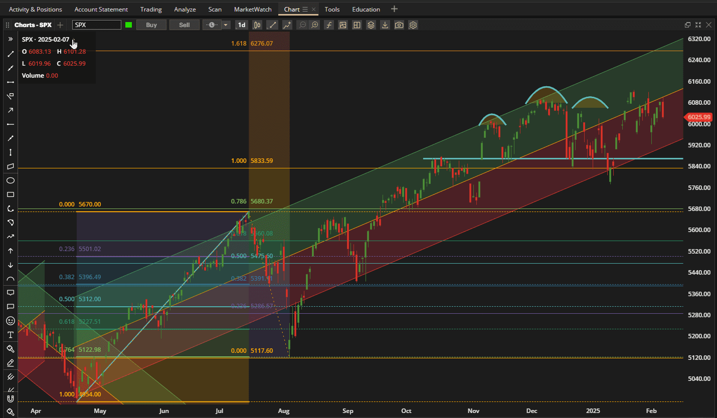 Rutherford-Darwin Portfolio Review: 7 February 2025 2