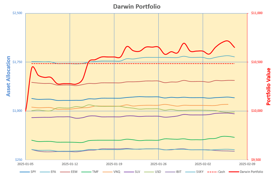 Rutherford-Darwin Portfolio Review: 7 February 2025 4