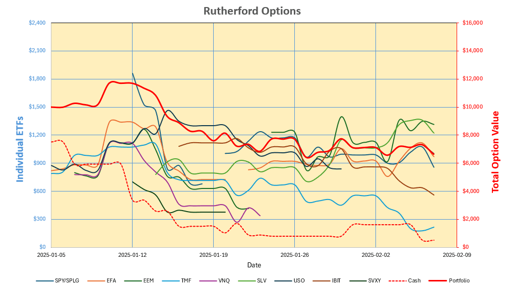 Rutherford-Darwin Portfolio Review: 7 February 2025 5