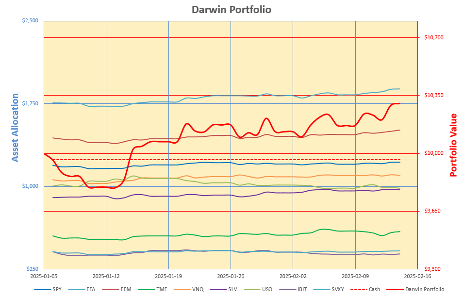 Rutherford-Darwin Portfolio Review: 14 February 2025 4