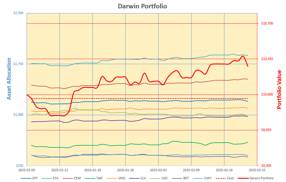 Rutherford-Darwin Portfolio Review: 21 February 2025 4