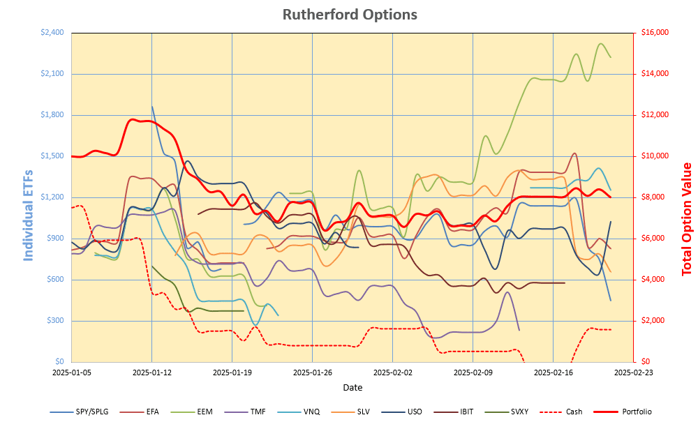 Rutherford-Darwin Portfolio Review: 21 February 2025 5