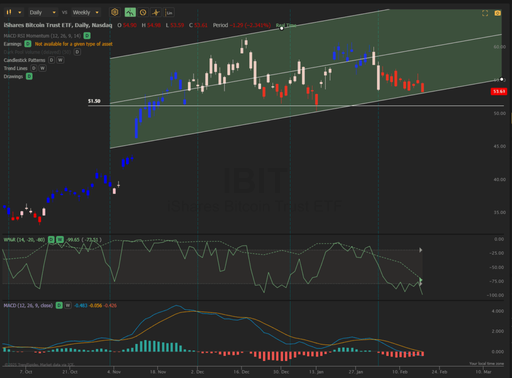 Rutherford-Darwin Portfolio Review: 14 February 2025 7