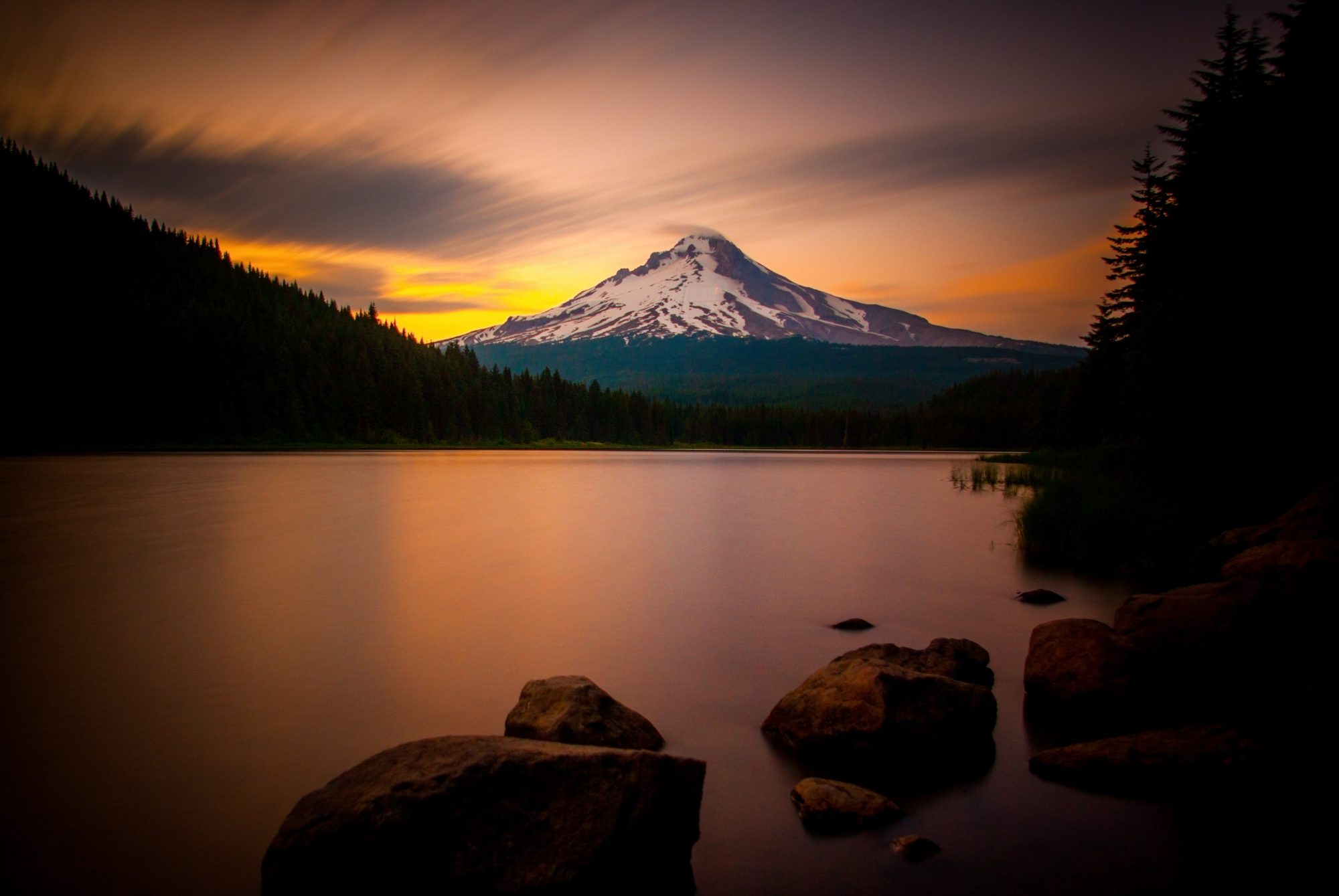Copernicus Portfolio Review: 24 February 2025 1 Copernicus Portfolio Review: 24 February 2025 1