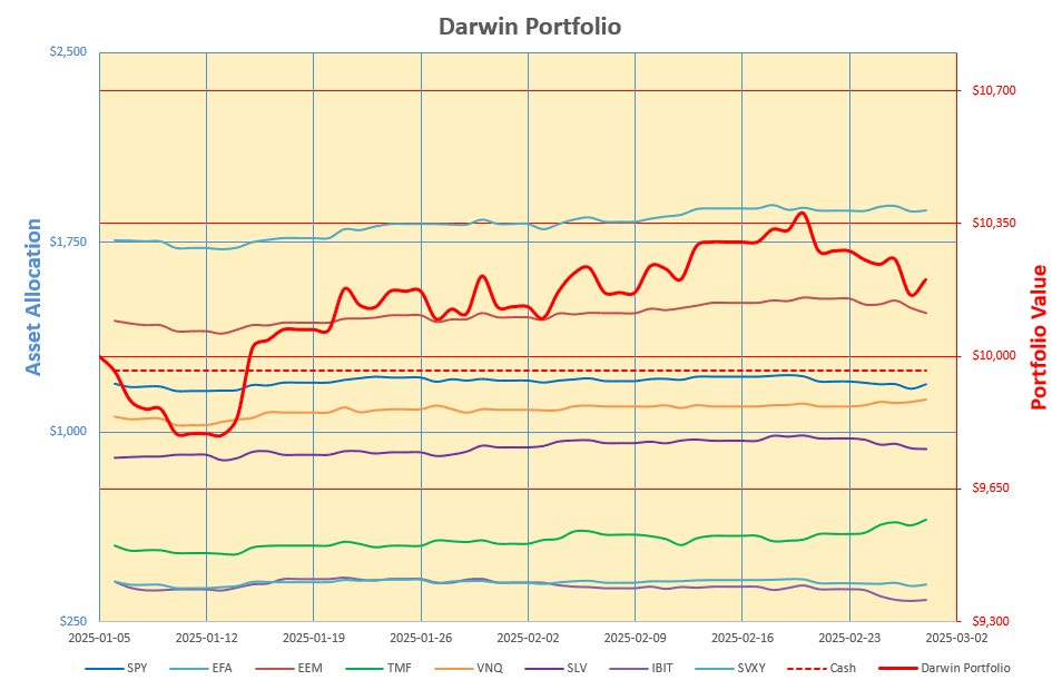 Rutherford-Darwin Portfolio Review: 28 February 2025 4