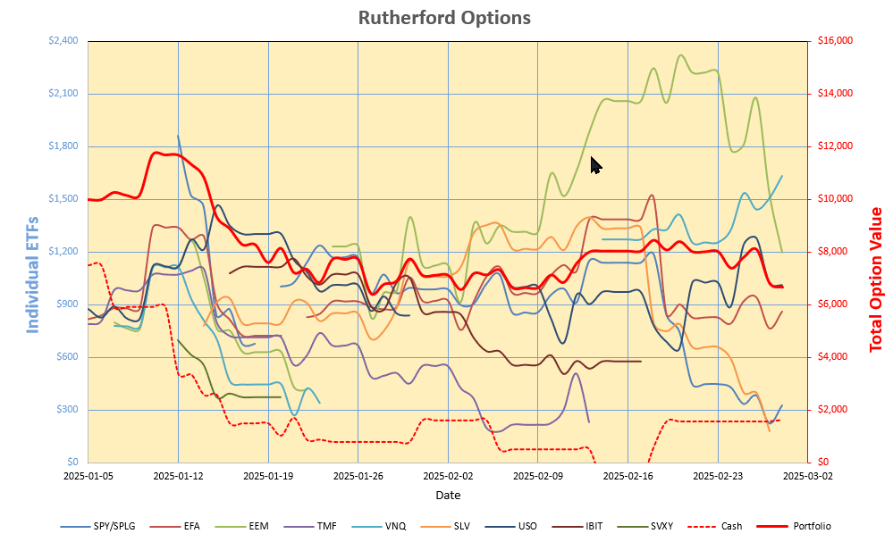 Rutherford-Darwin Portfolio Review: 28 February 2025 5