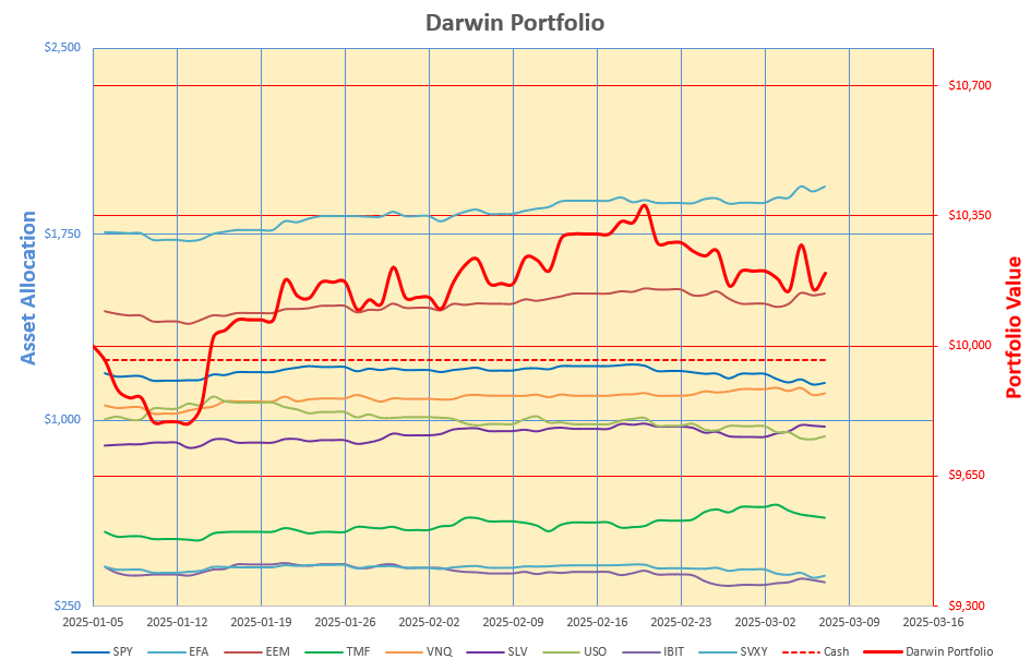 Rutherford-Darwin Portfolio Review: 7 March 2025 4