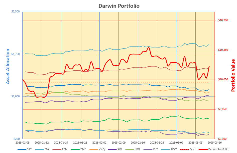 Rutherford-Darwin Portfolio Review: 14 March 2025 4