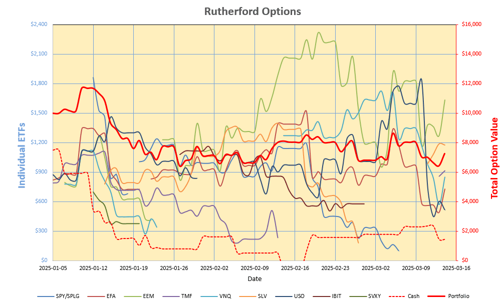 Rutherford-Darwin Portfolio Review: 14 March 2025 5