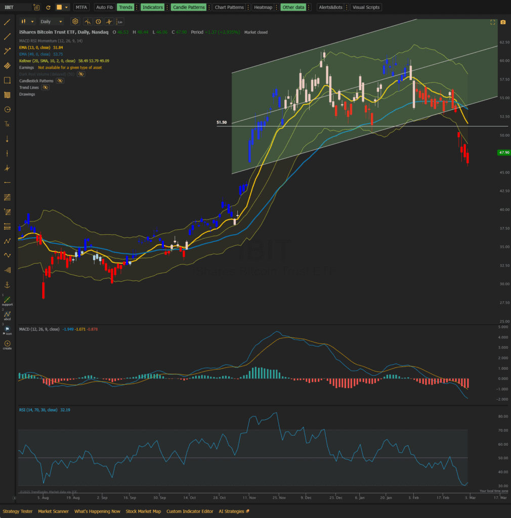 Rutherford-Darwin Portfolio Review: 28 February 2025 8