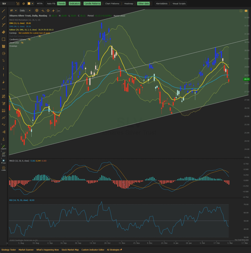 Rutherford-Darwin Portfolio Review: 28 February 2025 6