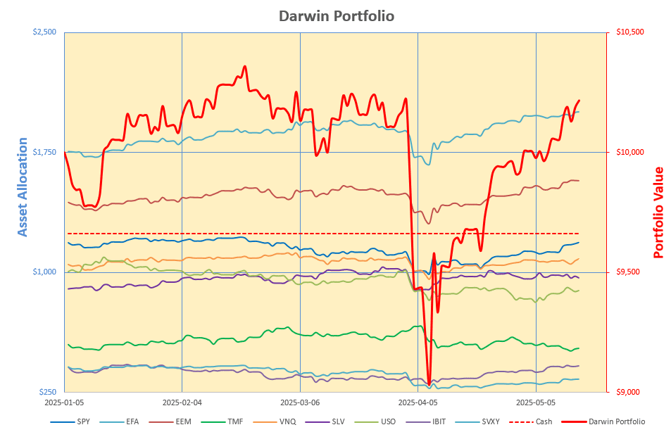 Rutherford-Darwin Portfolio Review: 16 May 2025 4