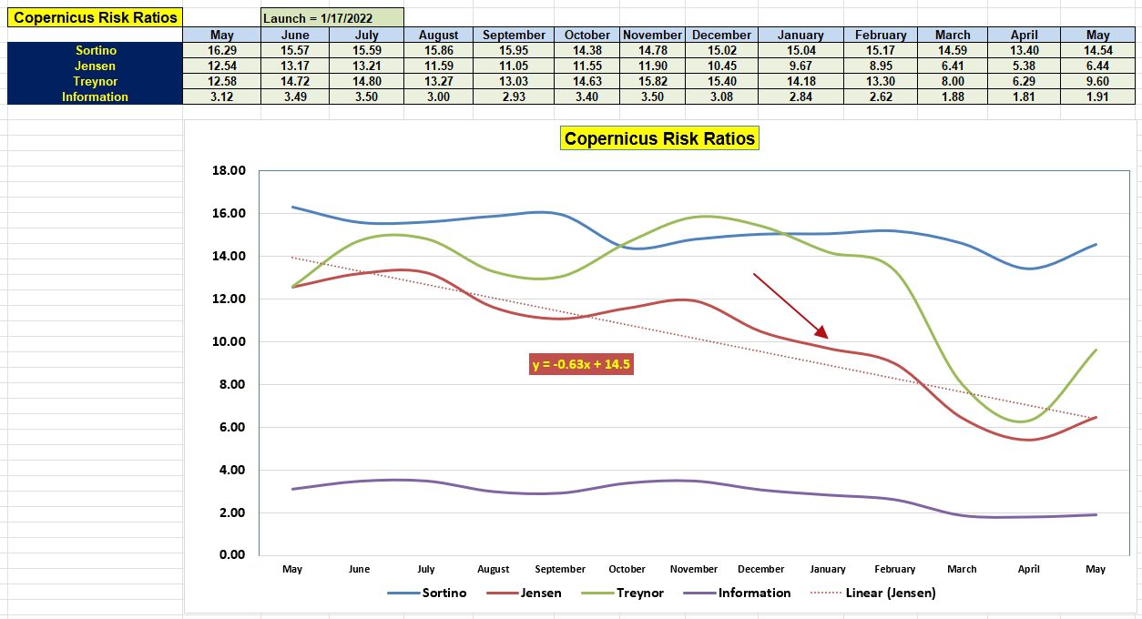 Copernicus Portfolio Review: 5 May 2025 4