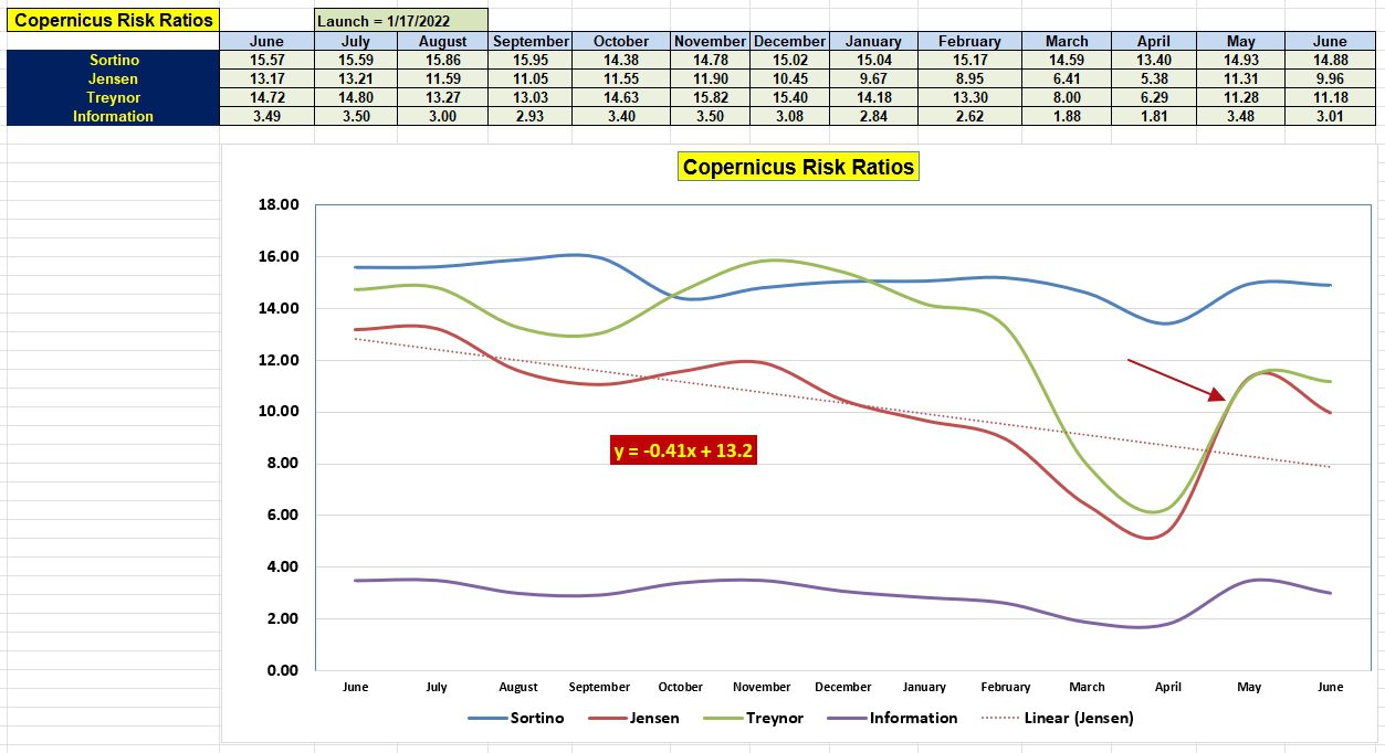 Copernicus Portfolio Review: 2 June 2025 4