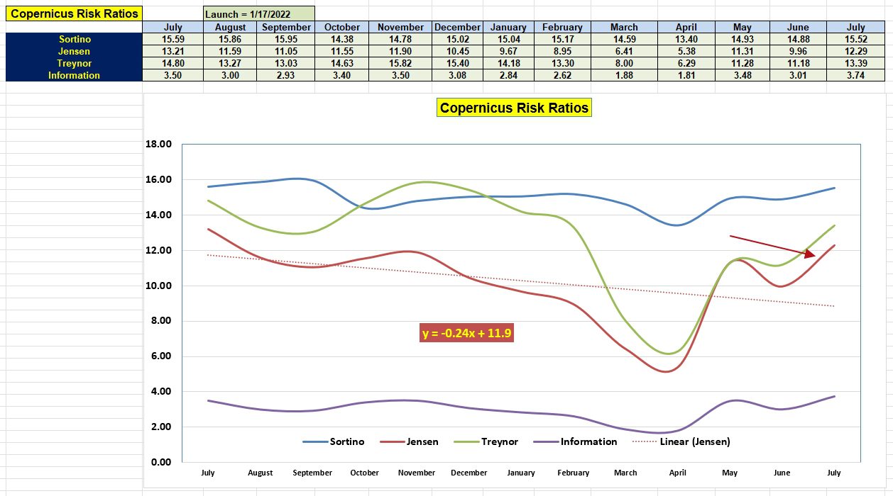 Copernicus Portfolio Review: 3 July 2025 4