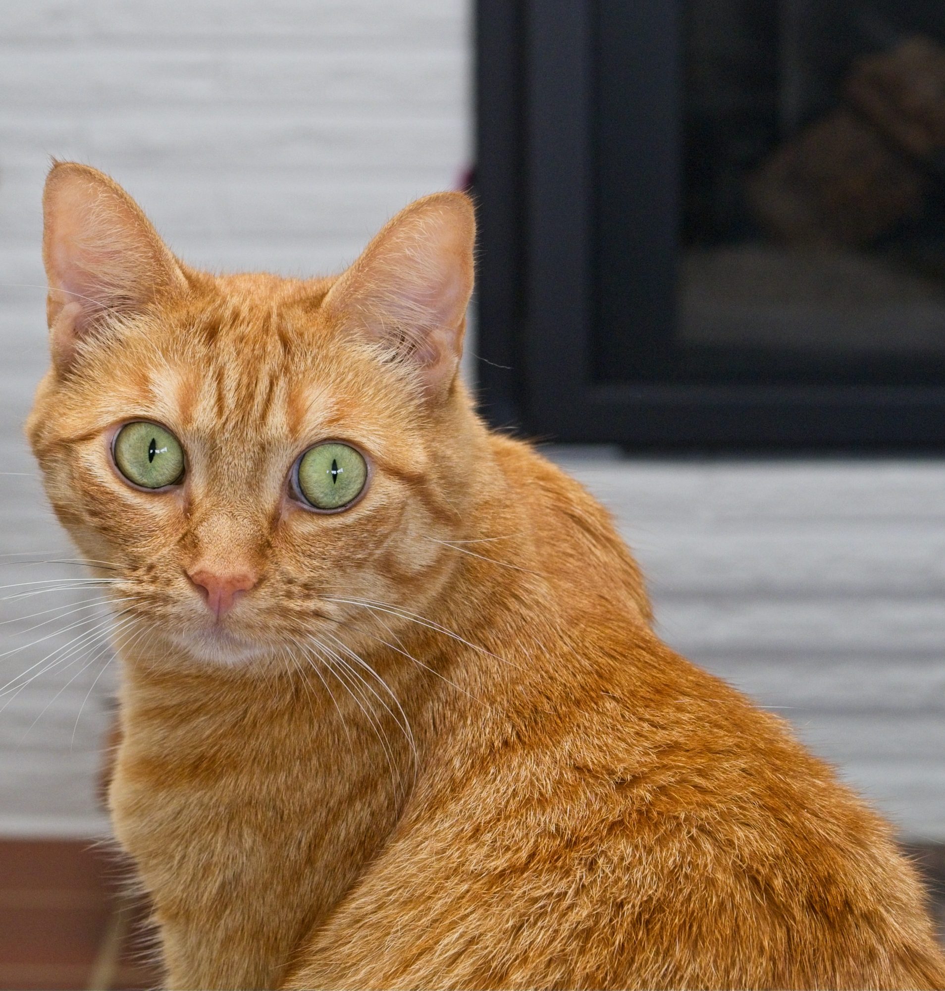 Huygens Portfolio Review: 19 August 2025 1 Huygens Portfolio Review: 19 August 2025 1