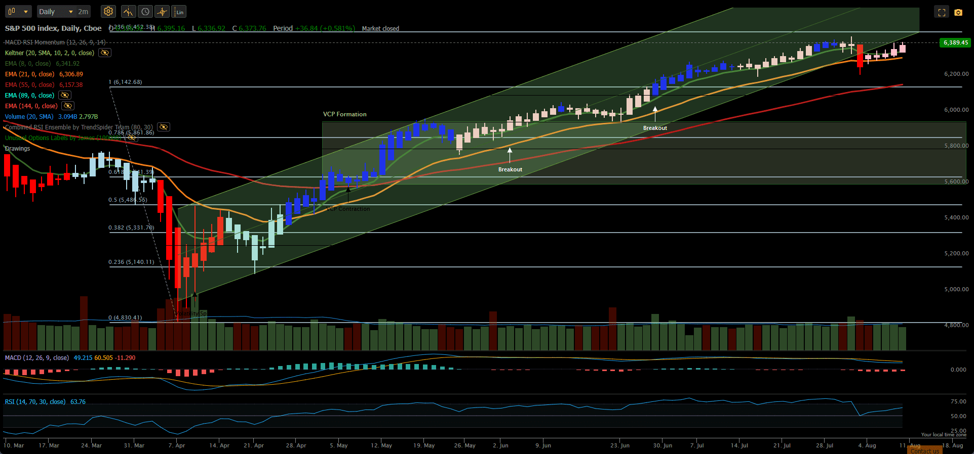 Rutherford-Darwin Portfolio Review: 8 August 2025 2