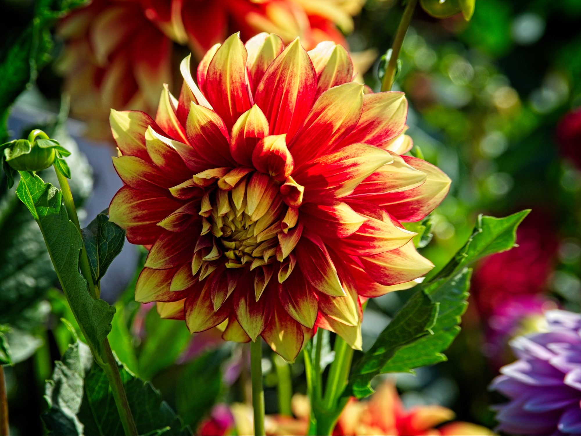 Schrodinger Portfolio Update: 25 September 2025 1