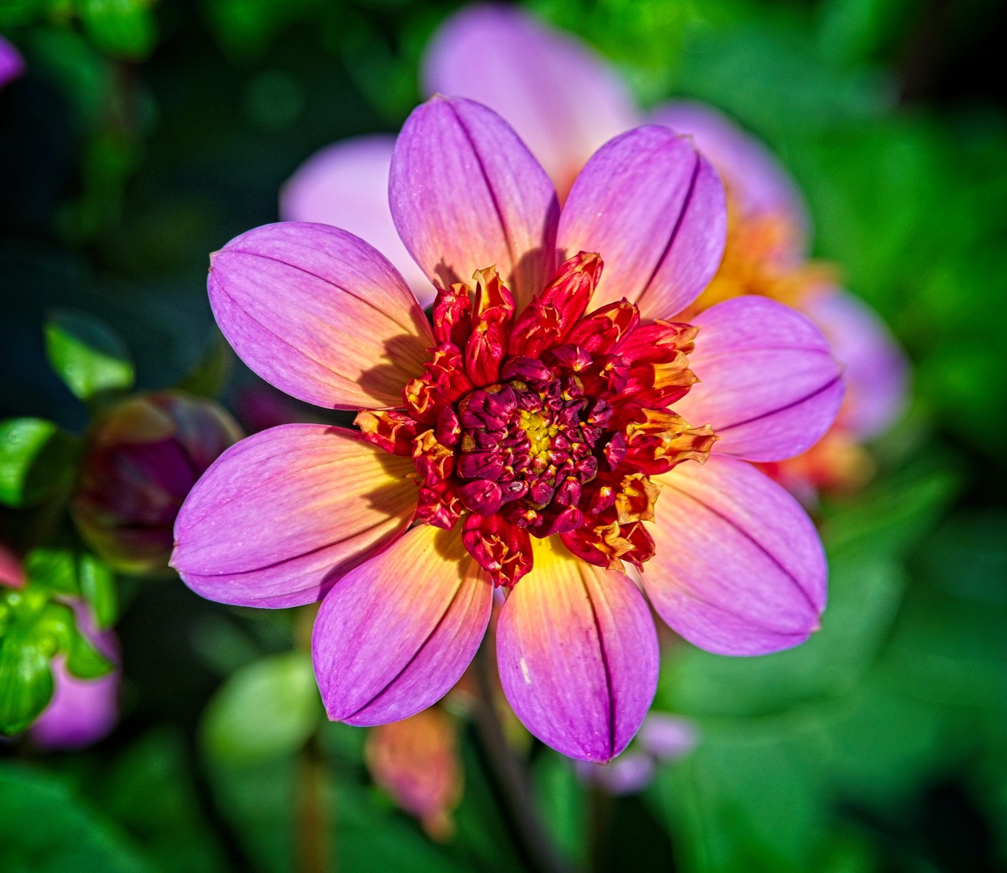 Millikan Preparation for 2026 1