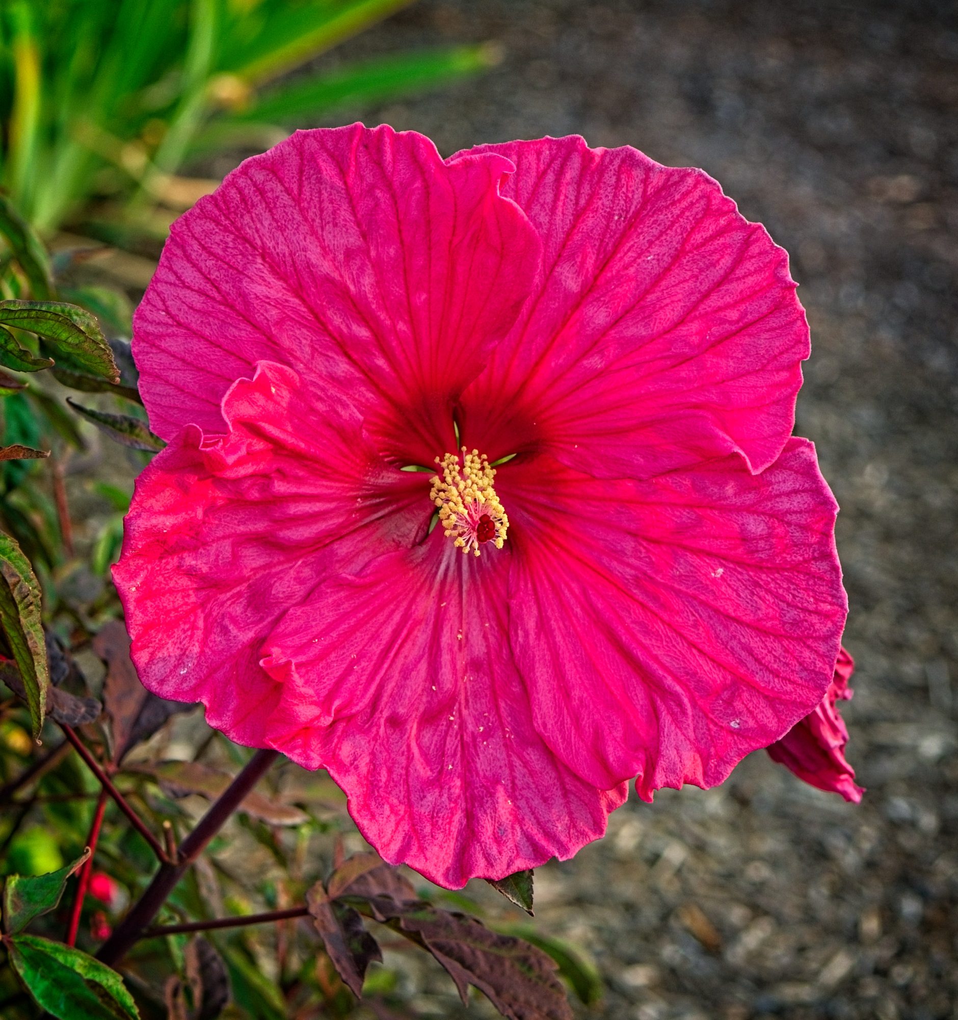 Pauling Asset Allocation Portfolio Review: 16 September 2025 1 Pauling Asset Allocation Portfolio Review: 16 September 2025 1